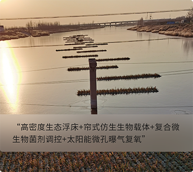 人工濕地示范工程