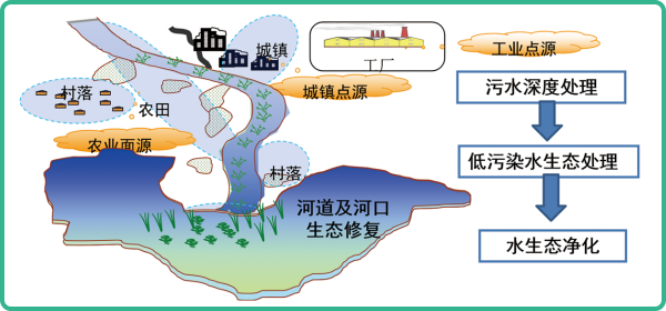 人工濕地，人工濕地建設(shè)