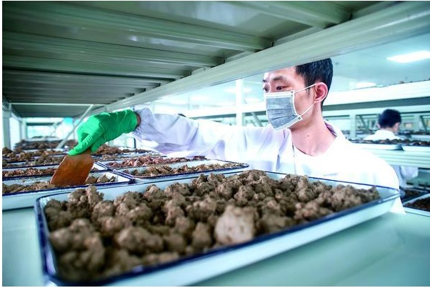 土壤檢測(cè)的類別有哪些？