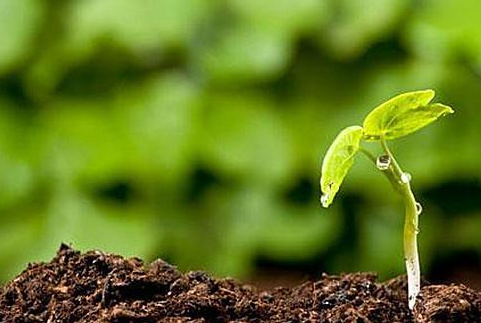 華清環(huán)境：修復(fù)被污染土壤要多長(zhǎng)時(shí)間？